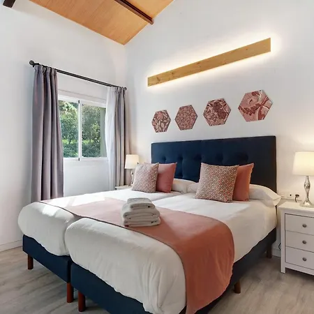 公寓 Lomo El Aire - Apartamentos En Plena Naturaleza - Tegueste 圣克鲁斯-德特内里费